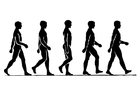 1 A walking