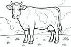a cow in the meadow