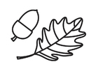 Coloring pages Acorn and Acorn Leaf