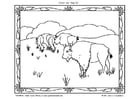 Coloring pages American bison