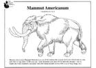 Coloring pages American mammoth