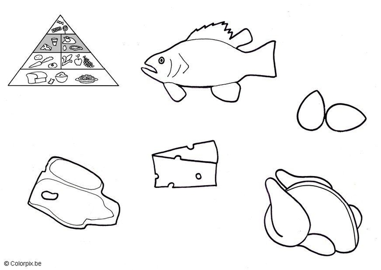 Coloring page animal products