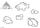 Coloring pages animal products