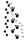 Coloring pages animal tracks