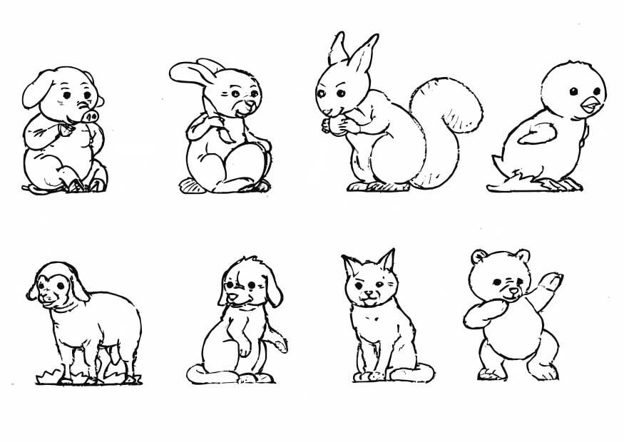 Coloring page animals - collection