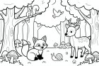 animals in the forest
