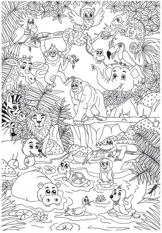 Coloring page animals in the jungle