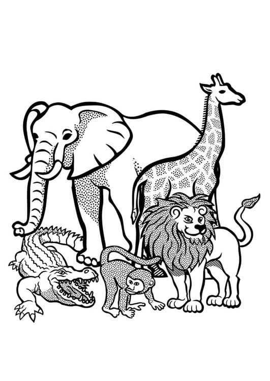 Coloring page animals in the wild
