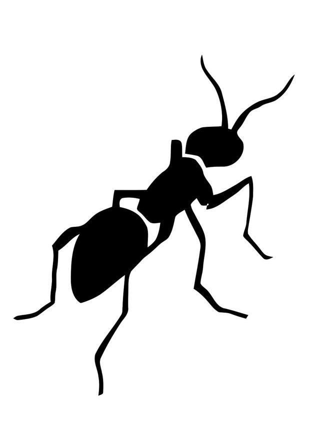 Coloring page ant