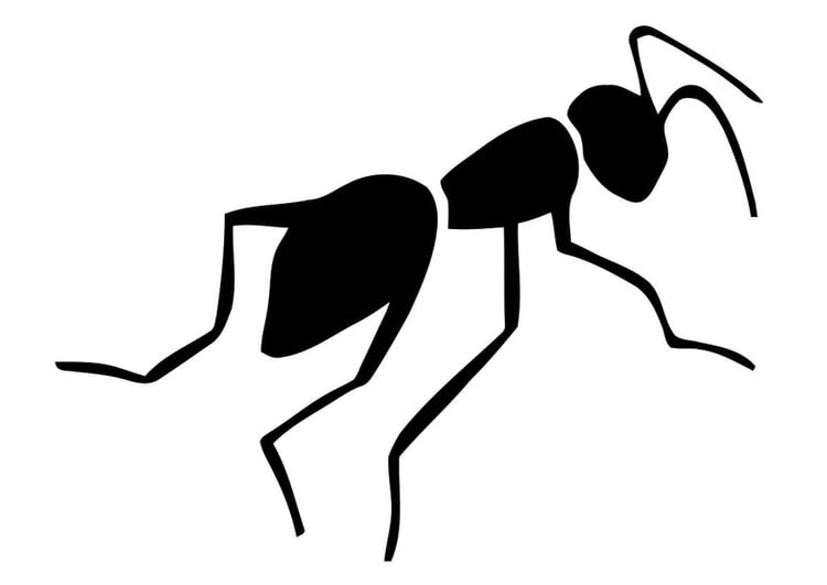 Coloring page ant