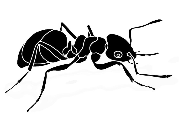 Coloring page ant