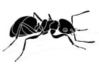 Coloring page ant