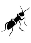 Coloring pages ant