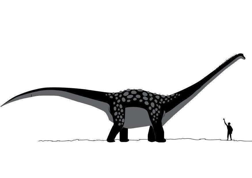 Coloring page Antarctosaur