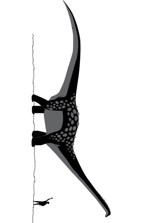 Antarctosaur