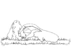 Coloring page anteater foraging