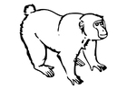 Coloring page ape