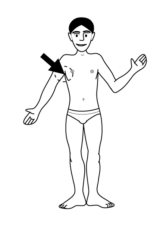 Coloring page armpit