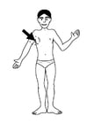 Coloring pages armpit