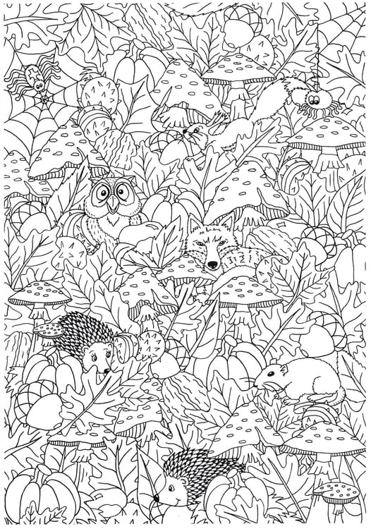 Coloring page autumn in the forest