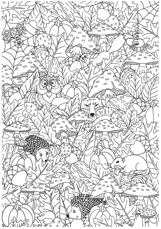 Coloring Page autumn in the forest - free printable coloring pages - Img  31267