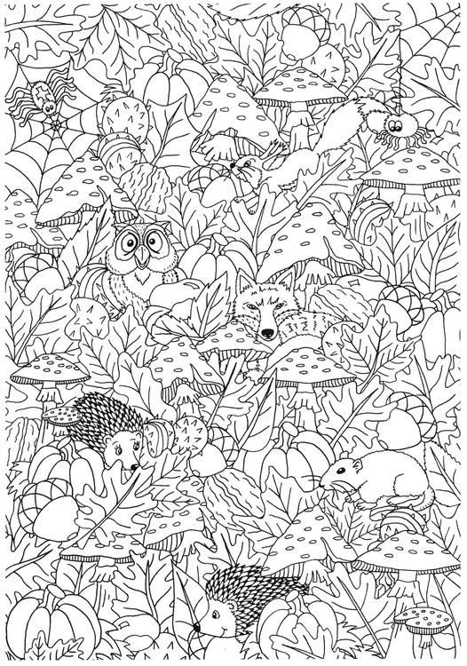 Coloring Page autumn in the forest - free printable coloring pages - Img 31267 Coloring Page autumn in the forest - free printable coloring pages - Img 31267