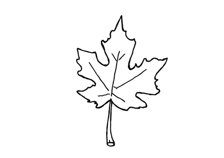 Coloring page autumn leaf