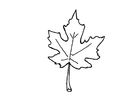 Coloring page autumn leaf