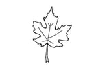 Coloring pages autumn leaf