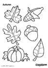 Coloring pages autumn