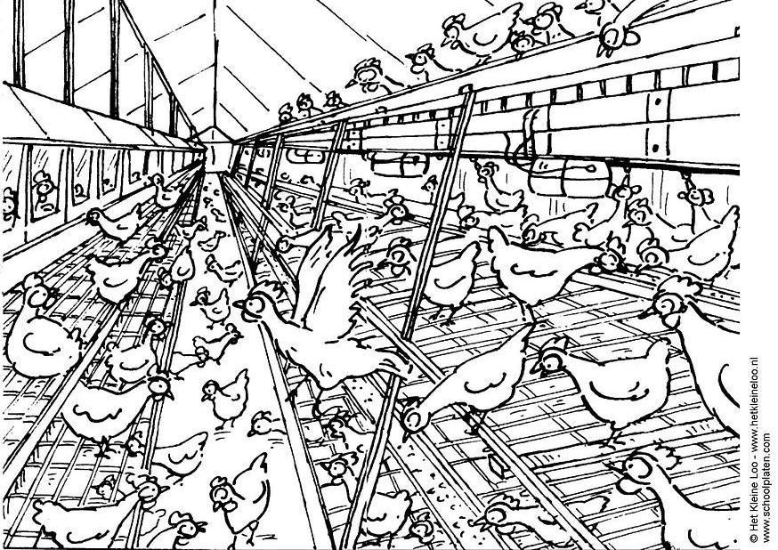 Coloring page aviary cage