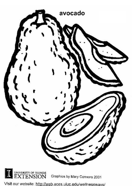 Coloring page avocado