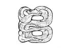Coloring pages b-boa