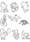 Coloring pages baby animals