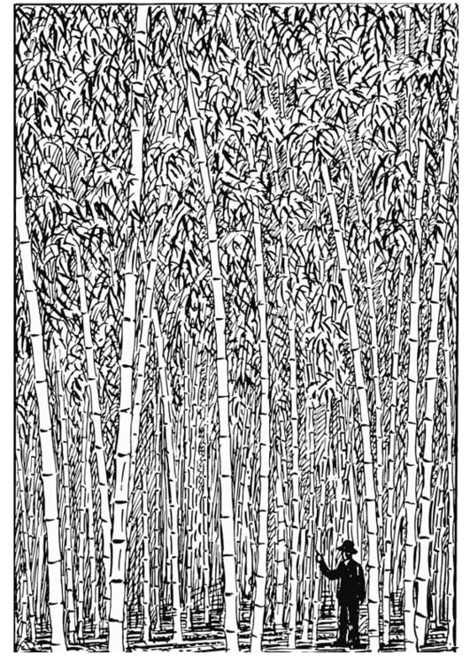 Coloring page Bamboo