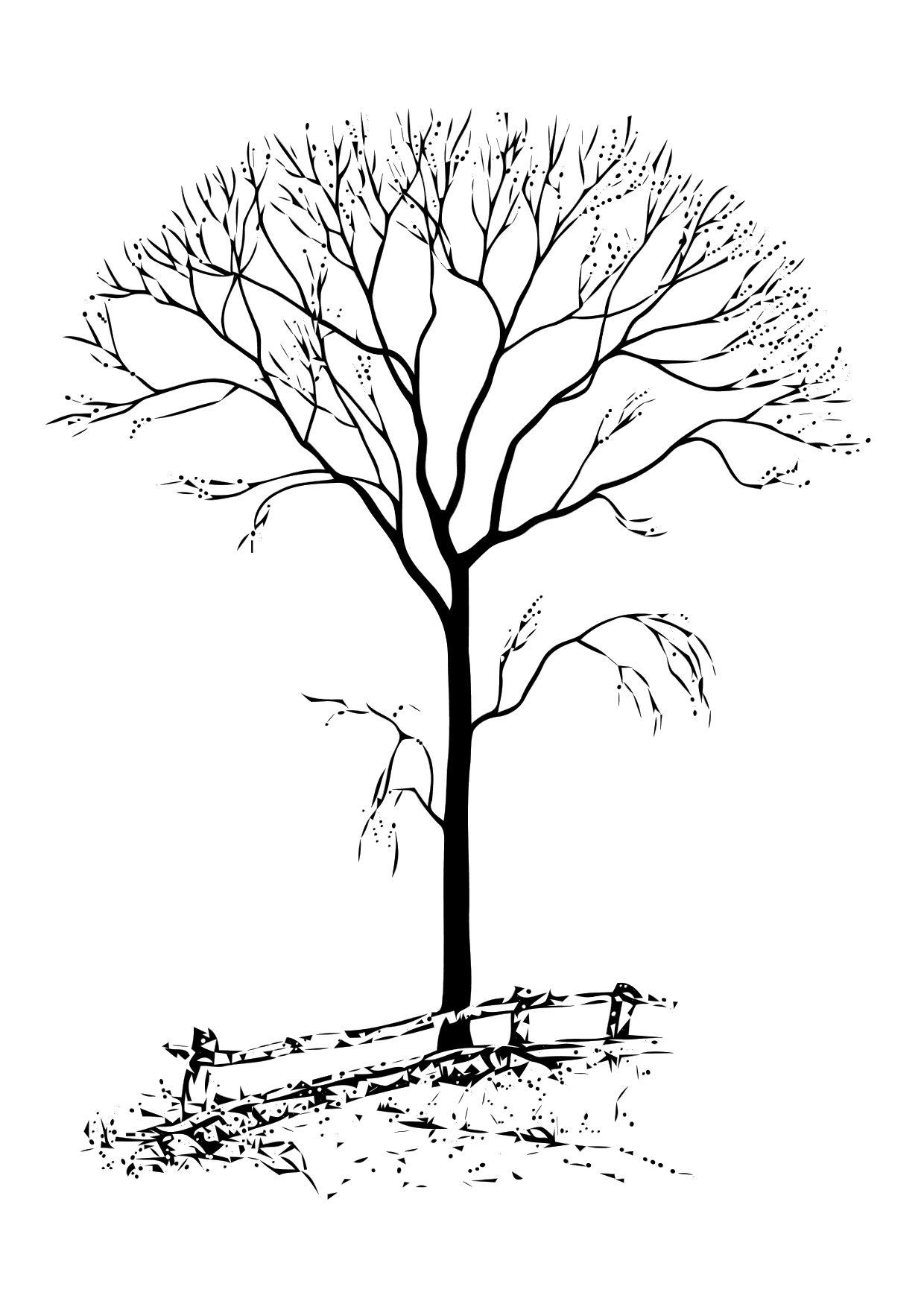 Coloring page bare tree