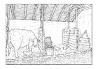 Coloring pages barn