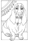 Coloring page basset