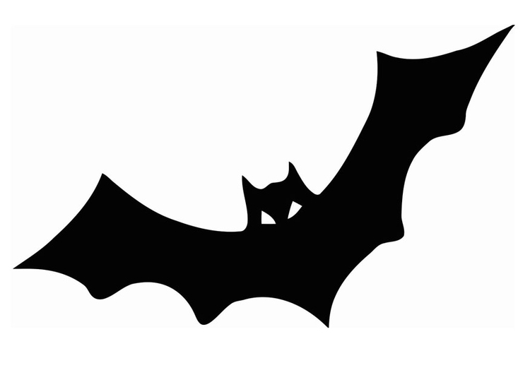 Coloring page bat