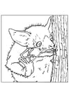 Coloring page bat looks for insects
