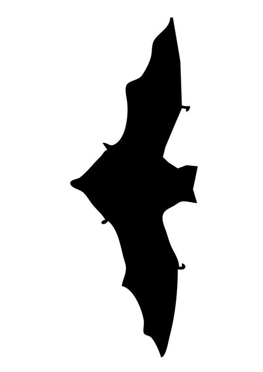 bat