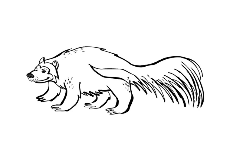 Coloring page bear