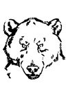 Coloring pages bear's head