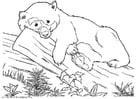 Coloring page bear