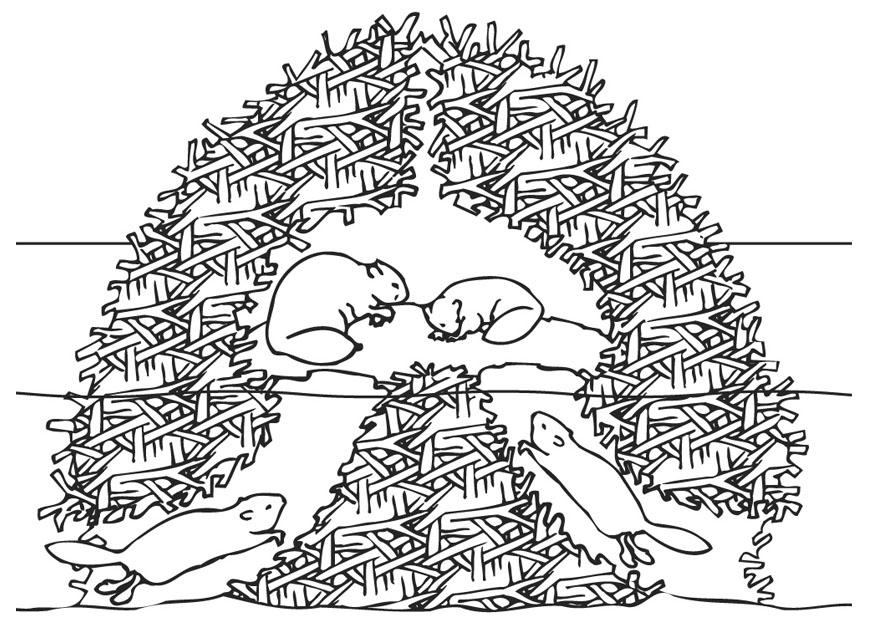 Coloring page beaver nest