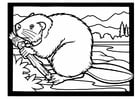 Coloring pages beaver with branch