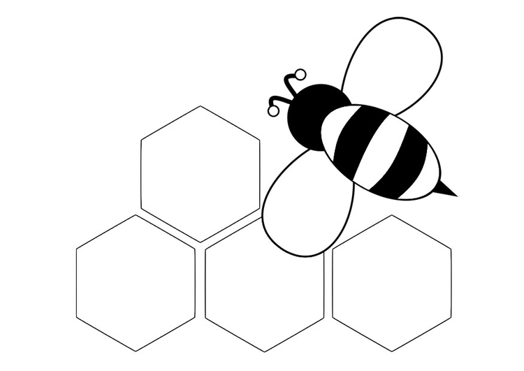 Coloring page bee - back