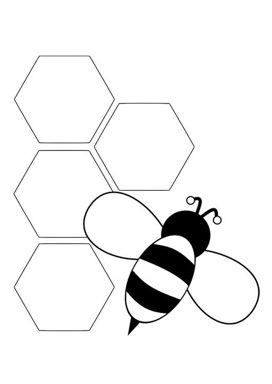 bee - back