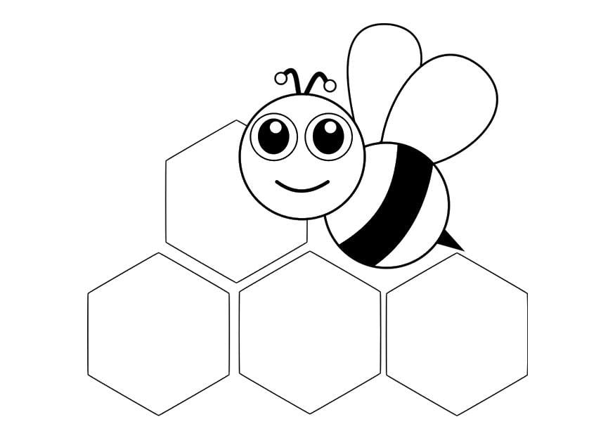 Coloring page bee - front