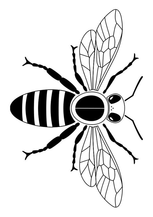 bee